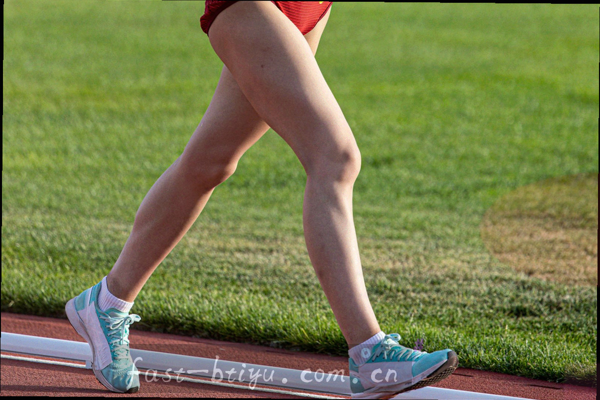 深色终端界面呈现邮箱和电话联系方式的抽象图